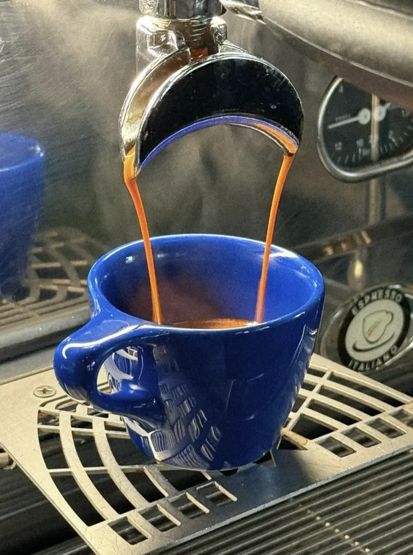 Espresso pulling into a blue cup on the Roto espresso bar